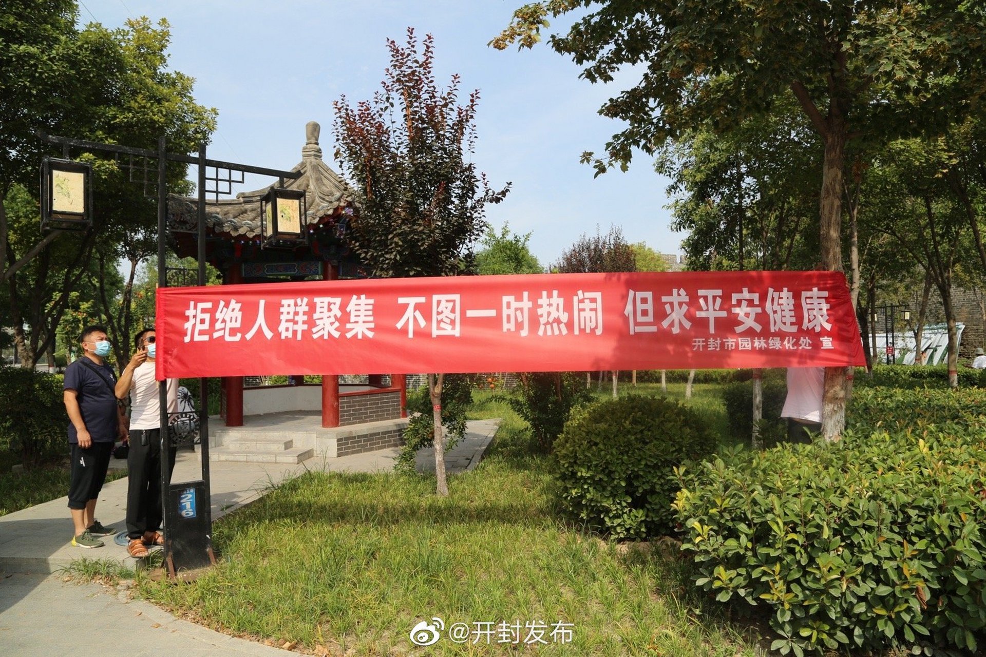 显称绿化工程